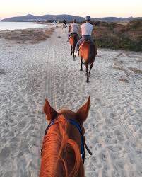 Escursioni a cavallo in Gallura – San Teodoro – Budoni  Sardegna