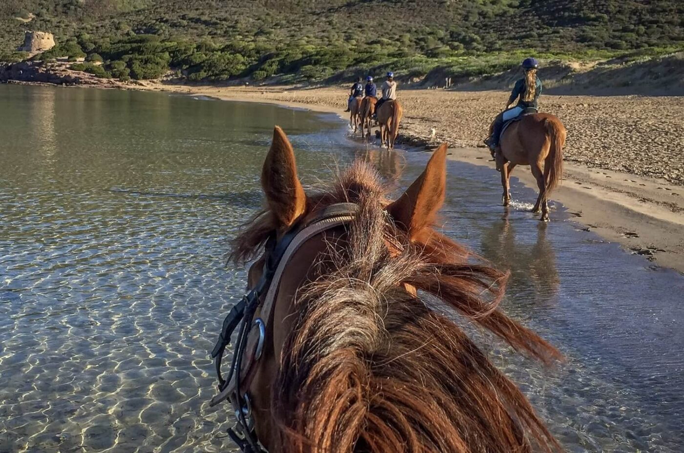 Escursioni a cavallo Alghero Sardegna