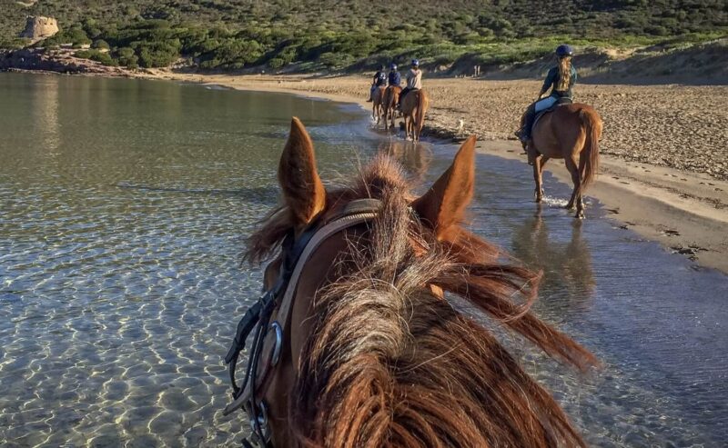 Escursioni a cavallo Alghero Sardegna