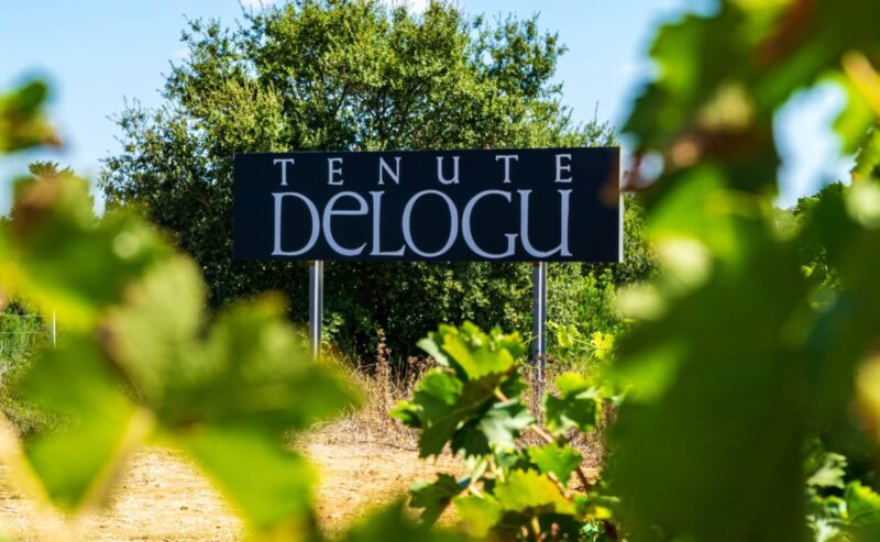 Degustazione vini sardi | Alghero | cene enogastronomiche | visite alle Tenute Delogu