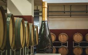 Visite e degustazioni Cantina Santa Maria La Palma Alghero | enoturismo nord Sardegna