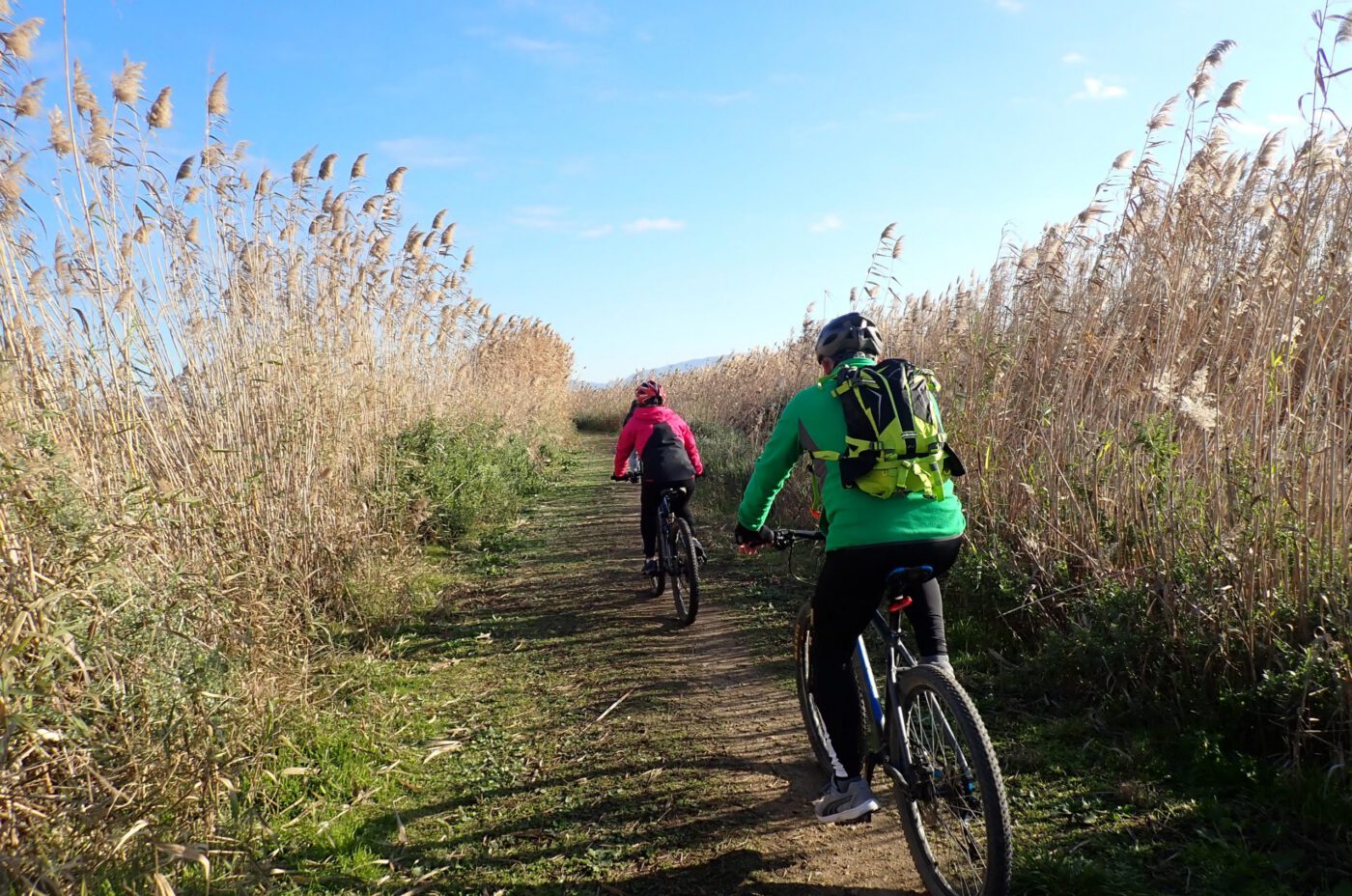 Noleggio city bike e mountain bike | Parco di Molentargius | Cagliari | Sardegna