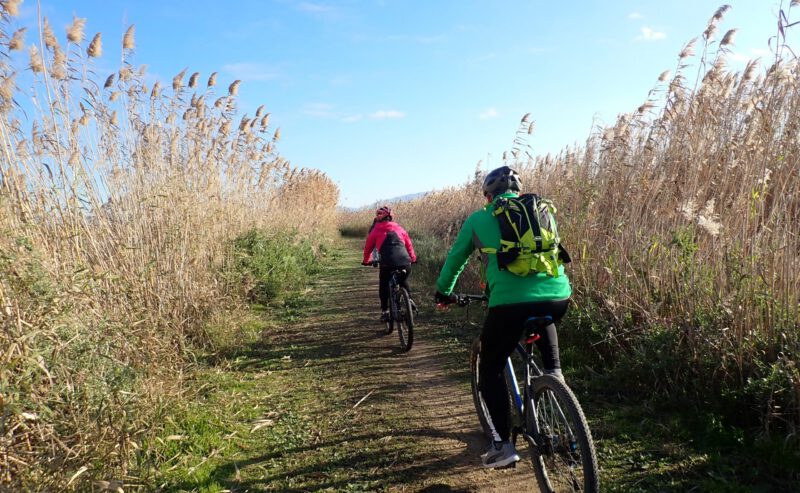 Noleggio city bike e mountain bike | Parco di Molentargius | Cagliari | Sardegna