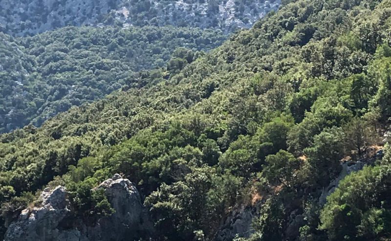 Escursione in canoa e fuoristrada nel lago Cedrino e nella Valle di Lanaitto | con pranzo dai pastori